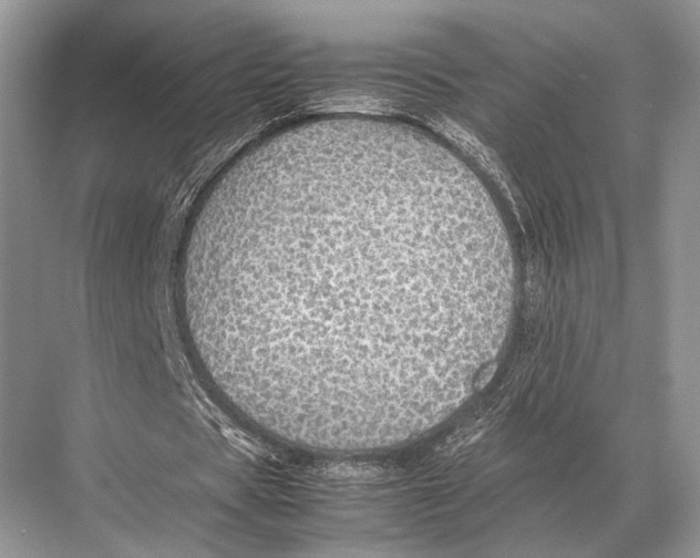 X0000067870529200605041809