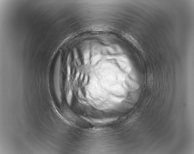 X0000067870530200605041809