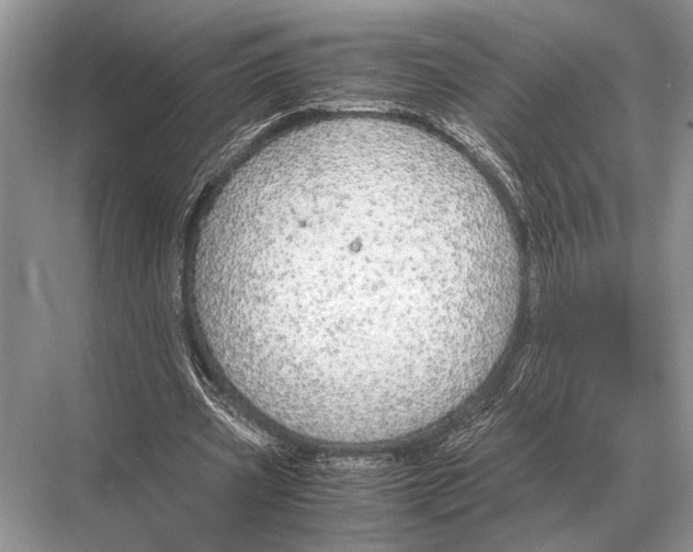 X0000067870533200605041809