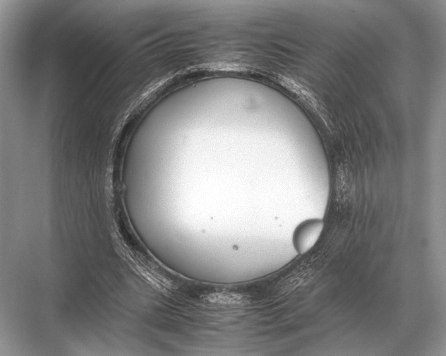 X0000067870535200605041810