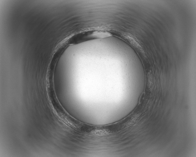 X0000067870536200605041810