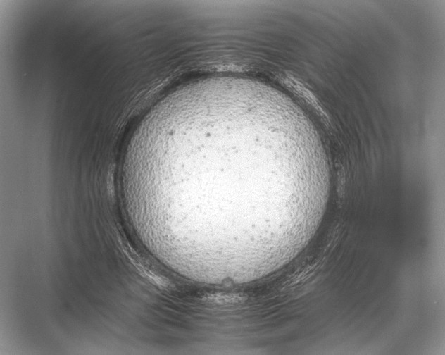 X0000067870537200605041810