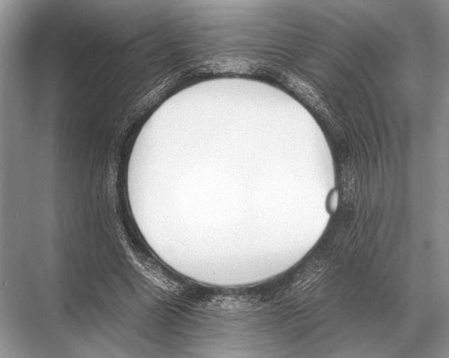 X0000067870538200605041810