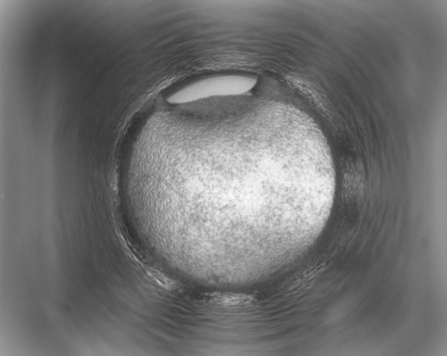 X0000067870539200605041810