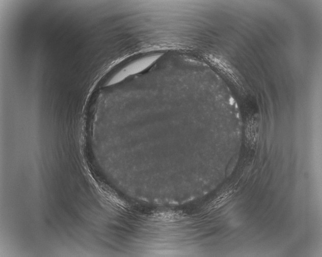 X0000067870540200605041810