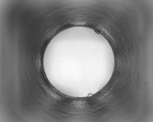 X0000067870541200605041810