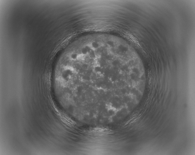 X0000067870542200605041810