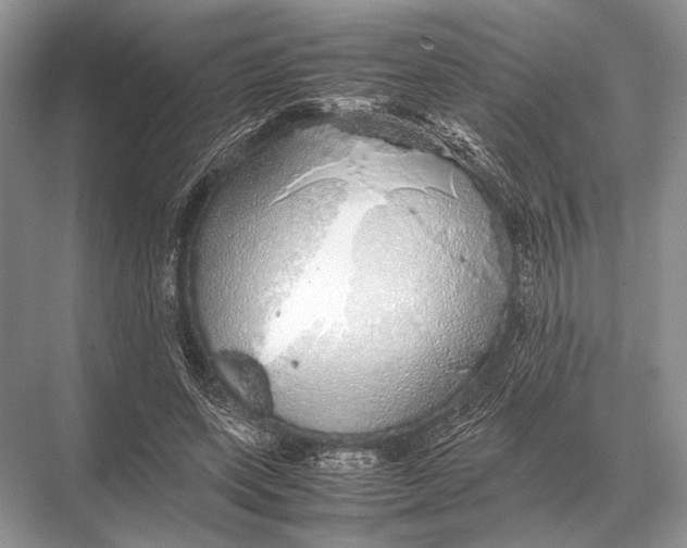 X0000067870543200605041810