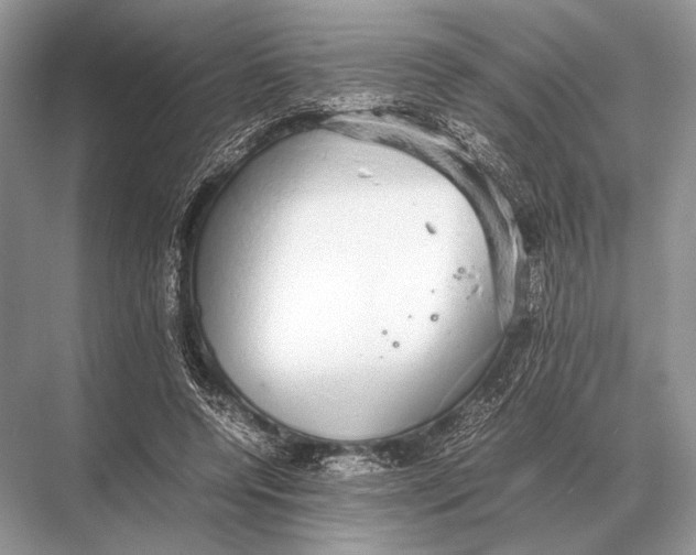 X0000067870544200605041810