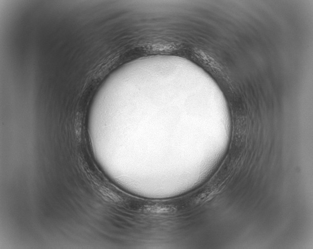 X0000067870545200605041810