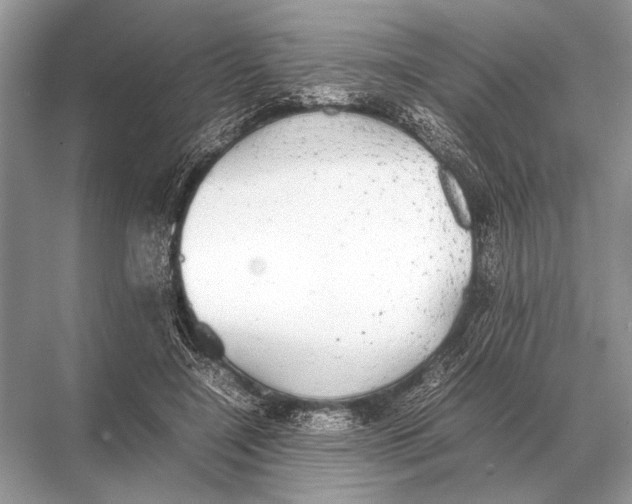 X0000067870548200605041810