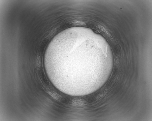 X0000067870549200605041810