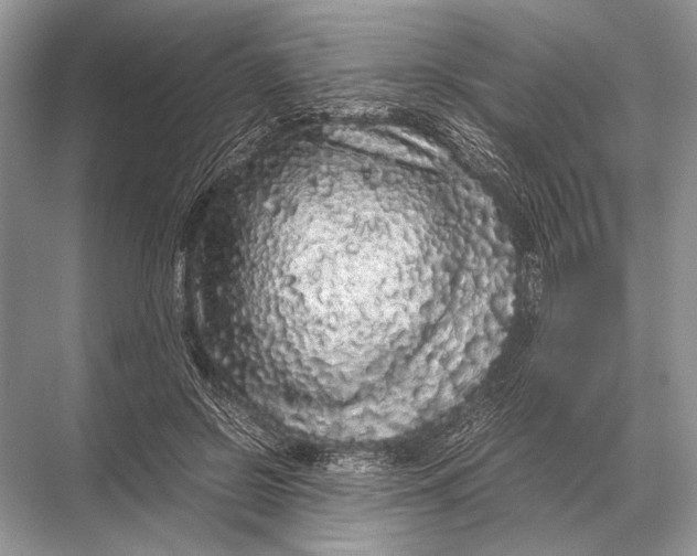 X0000067870550200605041810