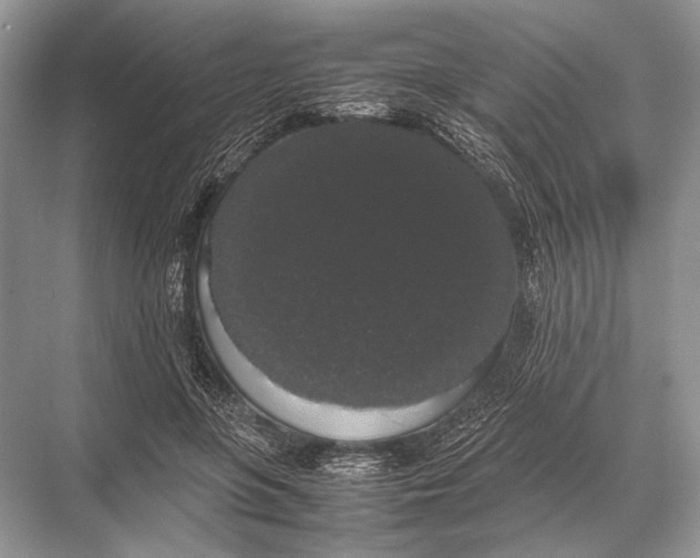 X0000067870551200605041810