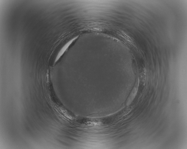 X0000067870552200605041810