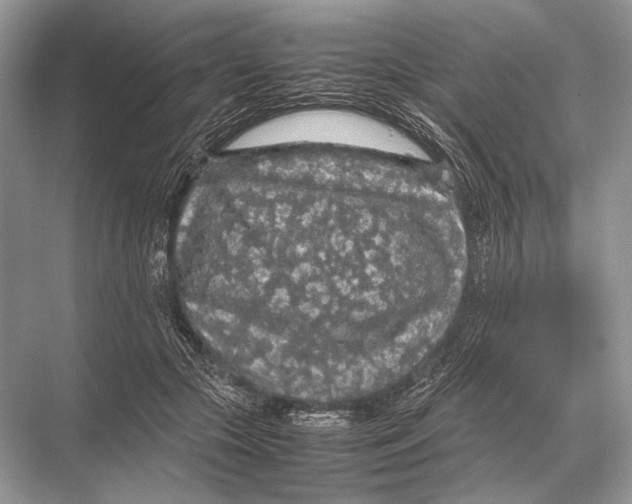 X0000067870553200605041810