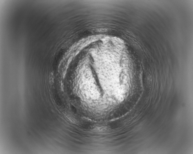 X0000067870555200605041810