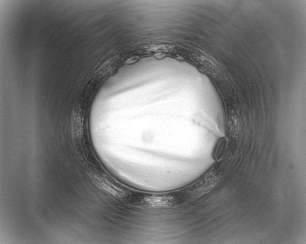 X0000067870558200605041810