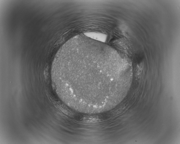 X0000067870559200605041810