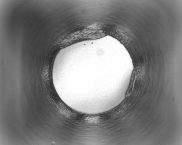 X0000067870560200605041810