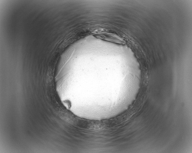 X0000067870561200605041810