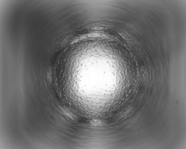 X0000067870562200605041810