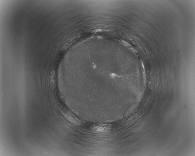 X0000067870563200605041810