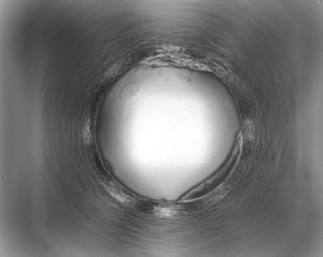 X0000067870564200605041810