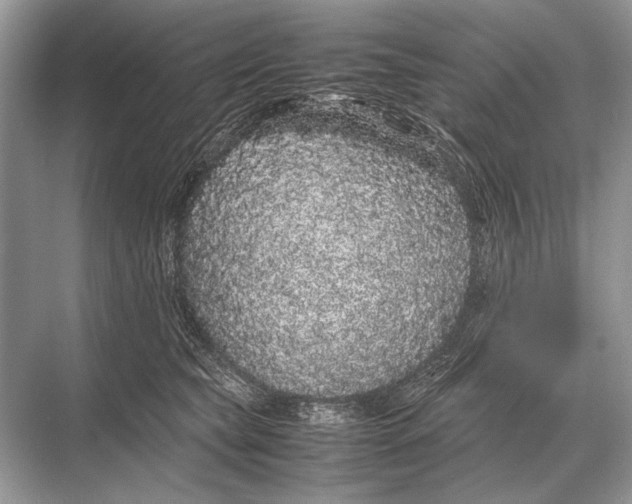 X0000067870565200605041810