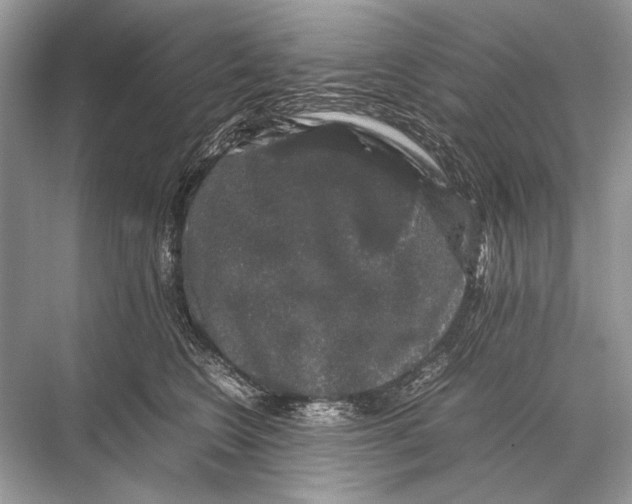 X0000067870566200605041810