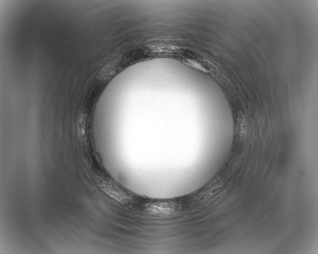 X0000067870567200605041810