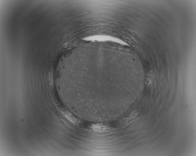 X0000067870568200605041810