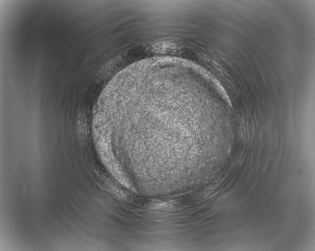 X0000067870569200605041810