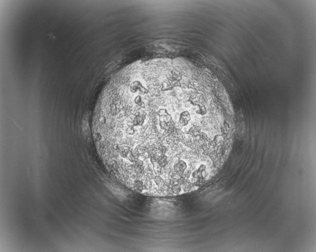 X0000067870573200605041810