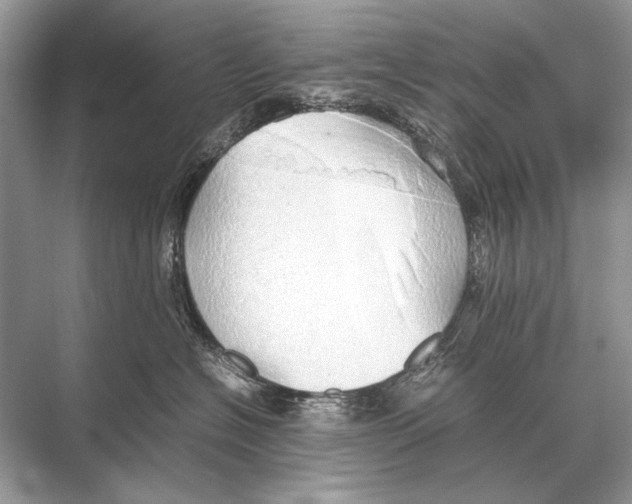 X0000067870574200605041810