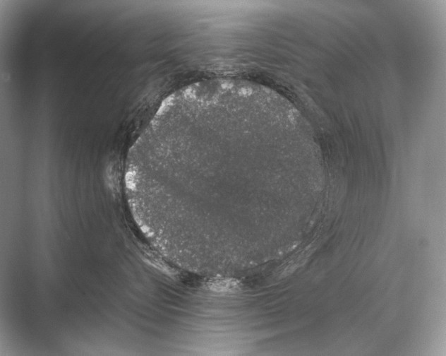 X0000067870576200605041810