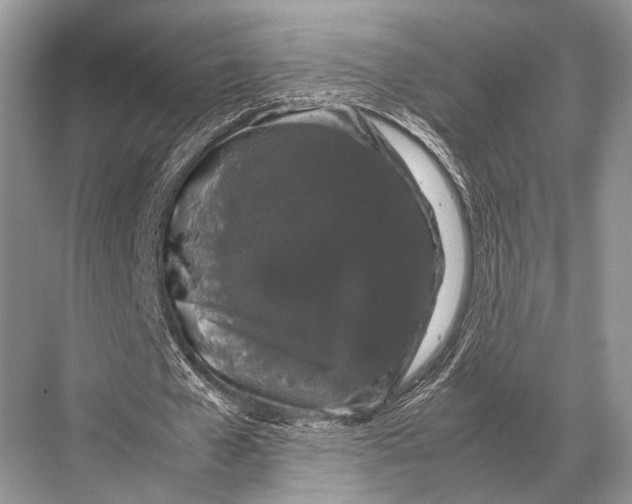 X0000067870577200605041809