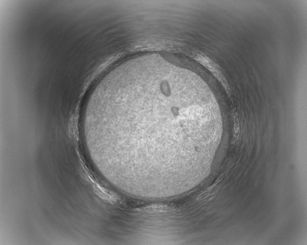 X0000067870578200605041809