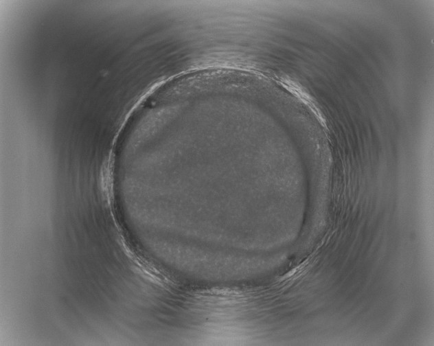 X0000067870580200605041809