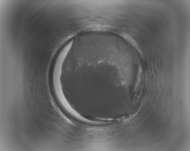 X0000067870581200605041809