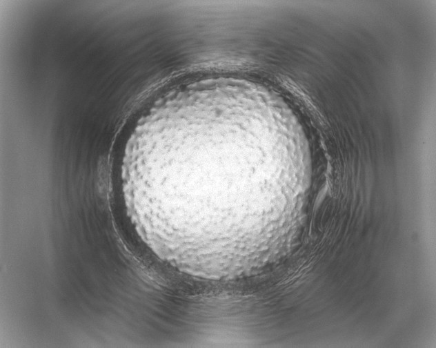 X0000067870582200605041809