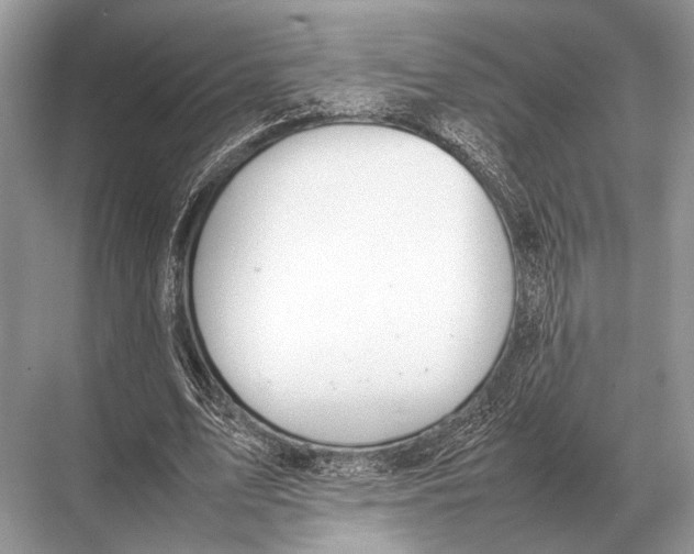 X0000067870583200605041809