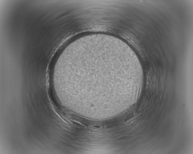 X0000067870584200605041809