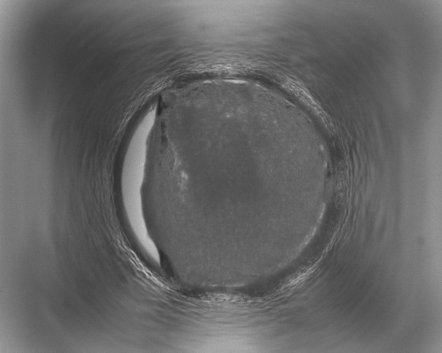 X0000067870585200605041809