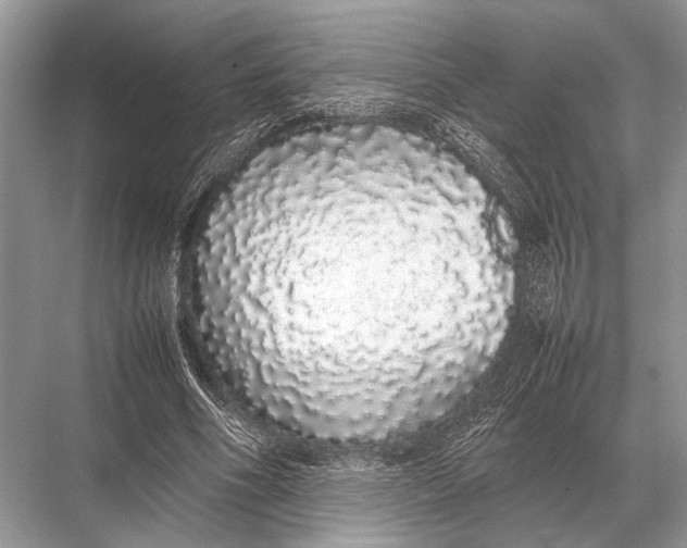 X0000067870586200605041809