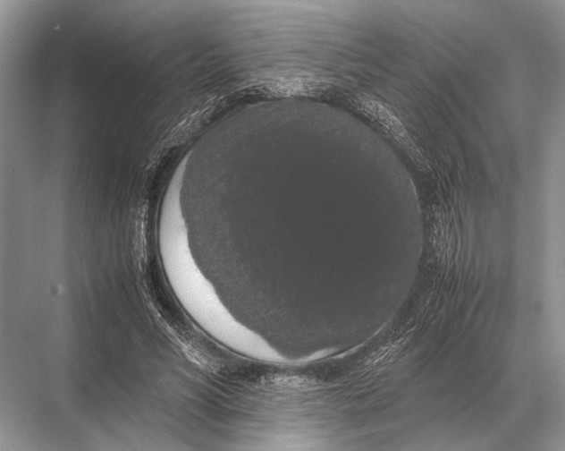 X0000067870590200605041809