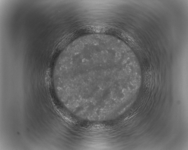 X0000067870594200605041809