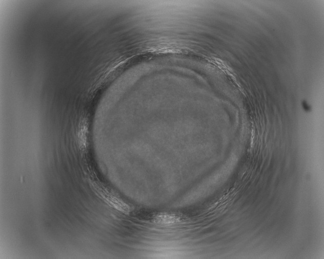 X0000067870596200605041809