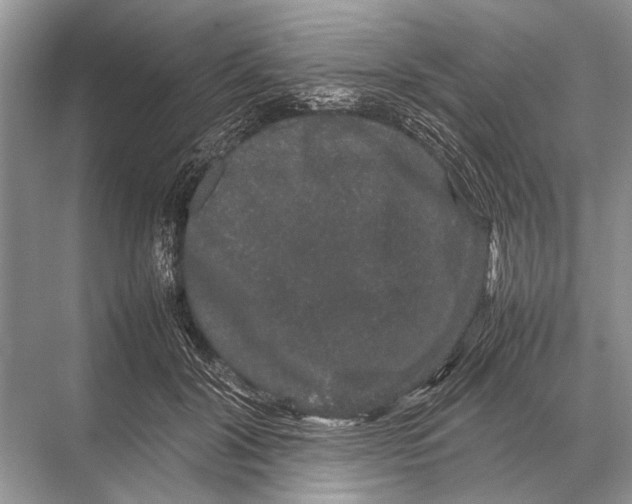 X0000067870604200605041809