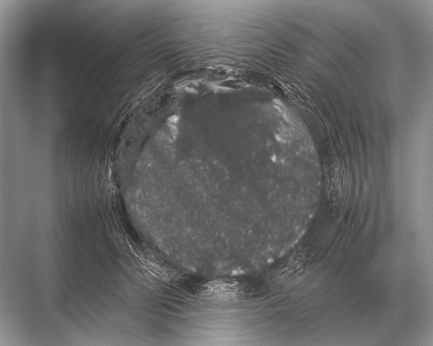 X0000067870606200605041809